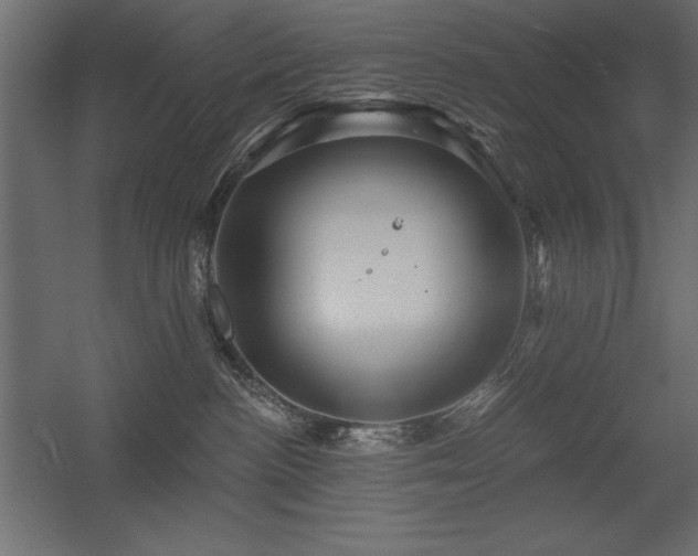 X0000056320188200509021613