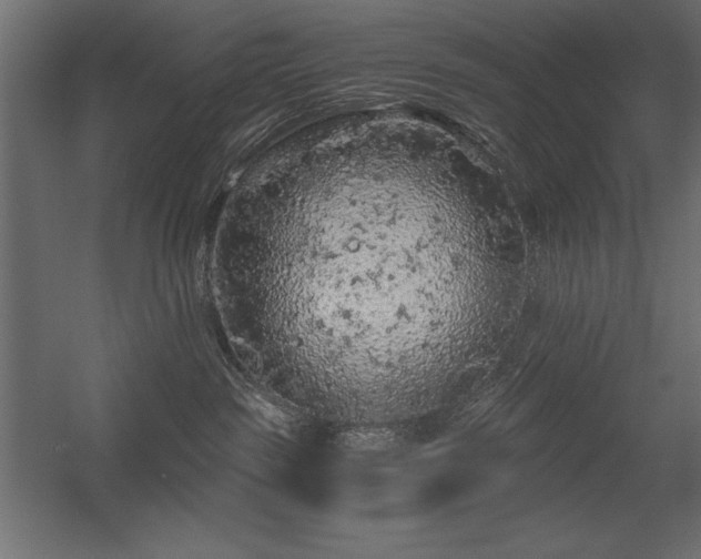 X0000056320189200509021613