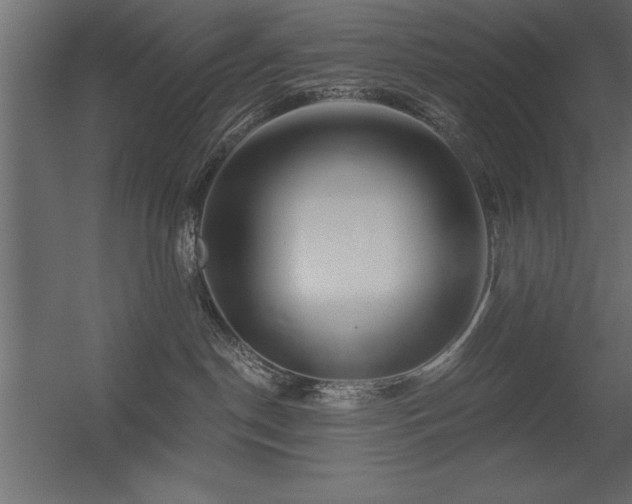 X0000056320190200509021613