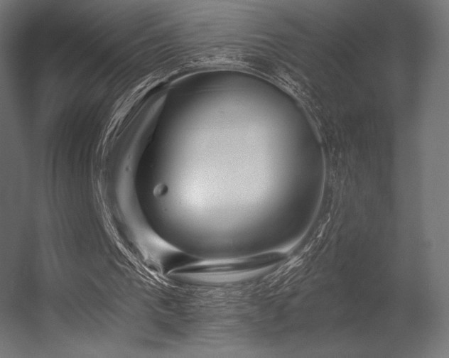 X0000056320193200509021612