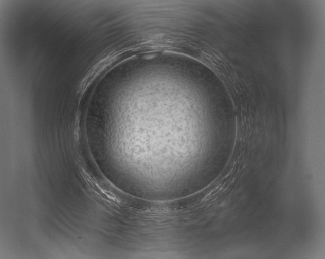 X0000056320194200509021612