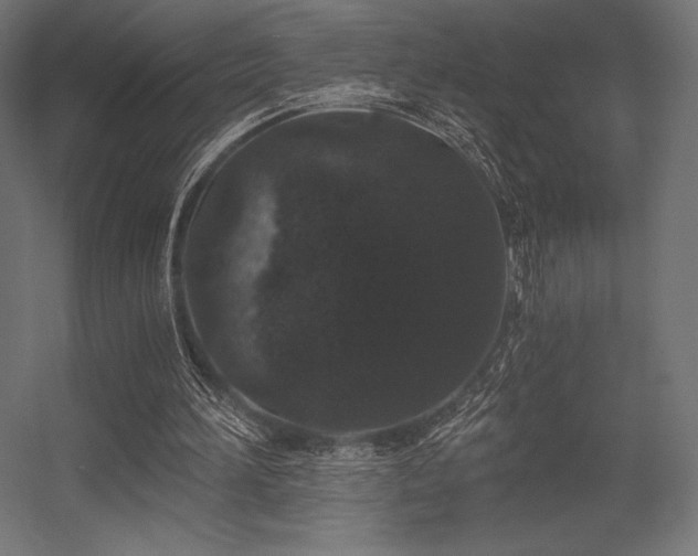 X0000056320196200509021612