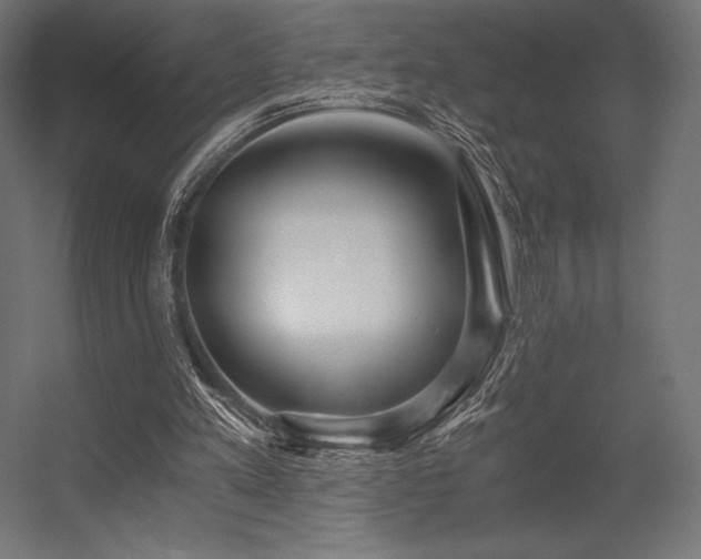 X0000056320197200509021612