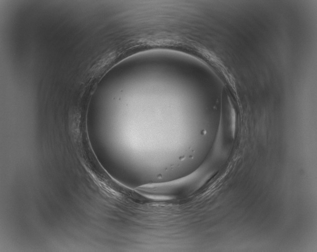 X0000056320201200509021612