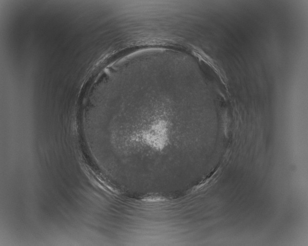 X0000056320203200509021612