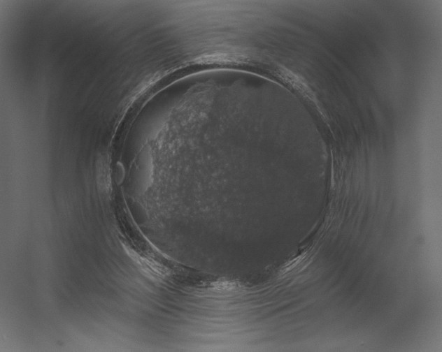 X0000056320204200509021612