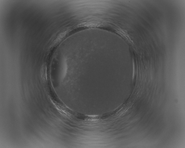 X0000056320205200509021612