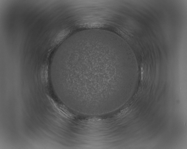 X0000056320206200509021612