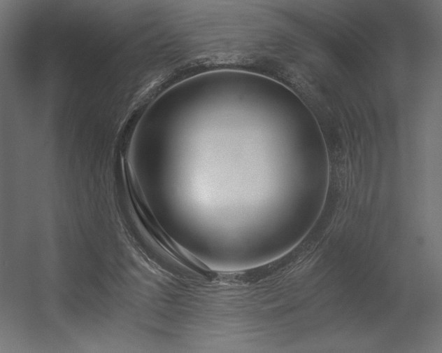 X0000056320207200509021612