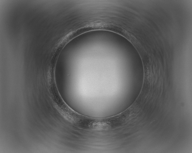 X0000056320208200509021612