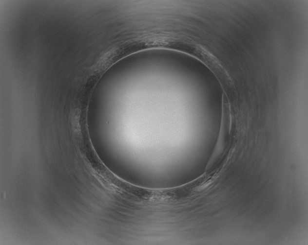 X0000056320209200509021612