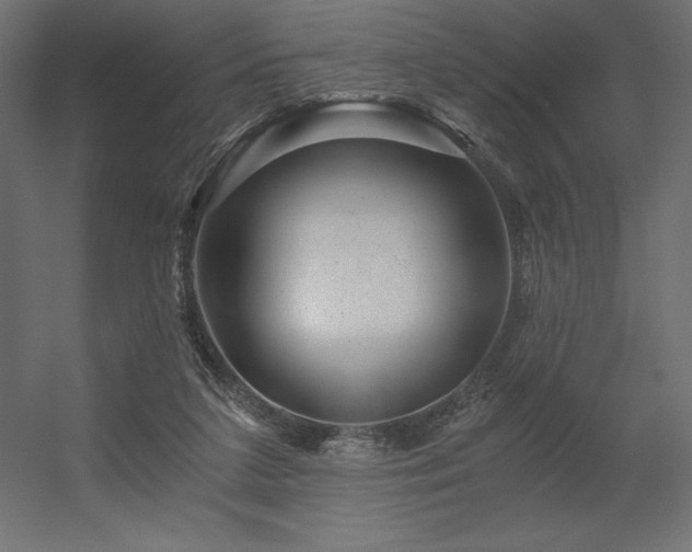 X0000056320211200509021612