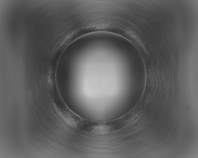 X0000056320212200509021612