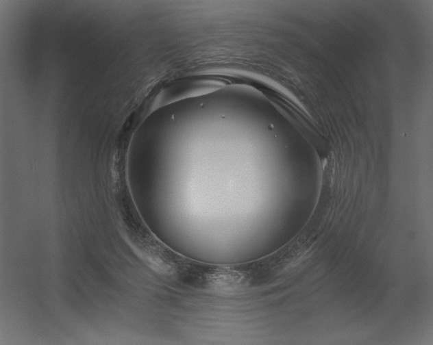 X0000056320215200509021612