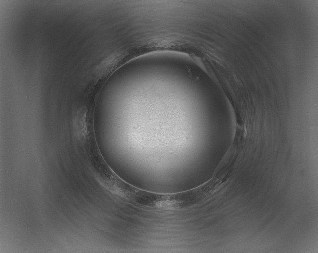 X0000056320216200509021612