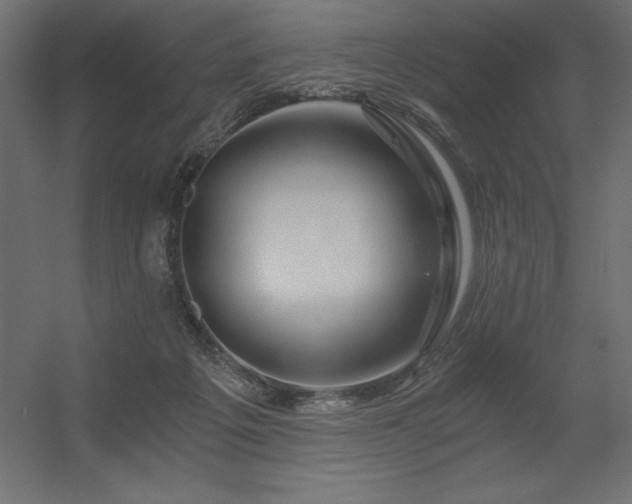 X0000056320217200509021612