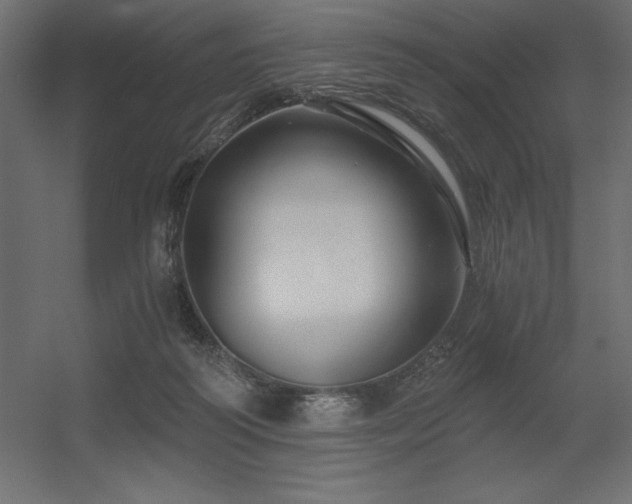 X0000056320218200509021611