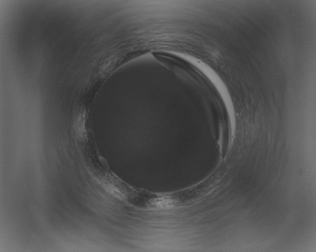 X0000056320219200509021611