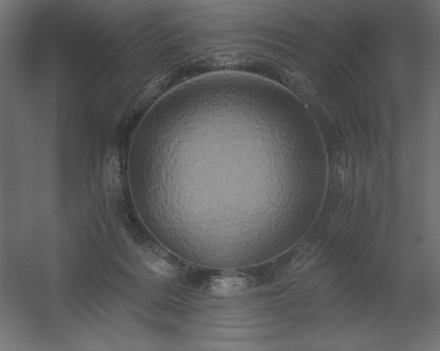 X0000056320220200509021611