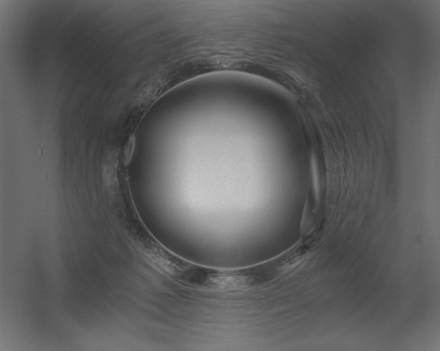 X0000056320221200509021611