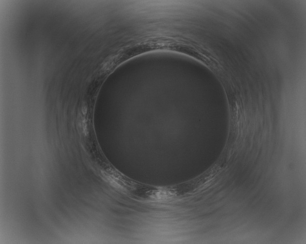 X0000056320223200509021611
