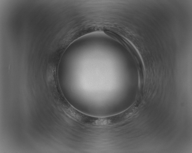 X0000056320225200509021611