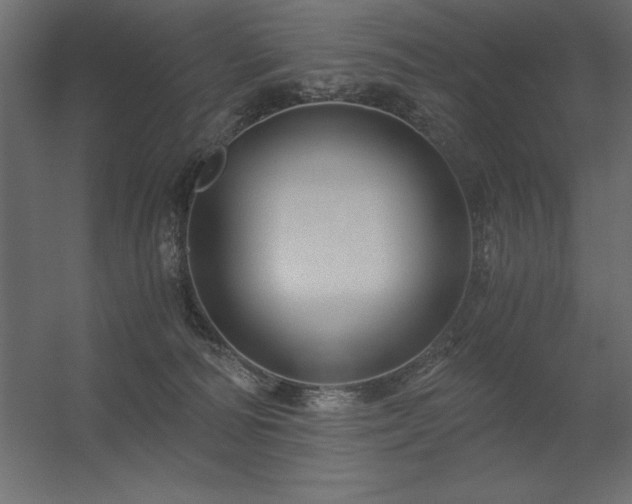 X0000056320226200509021611