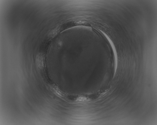 X0000056320227200509021611