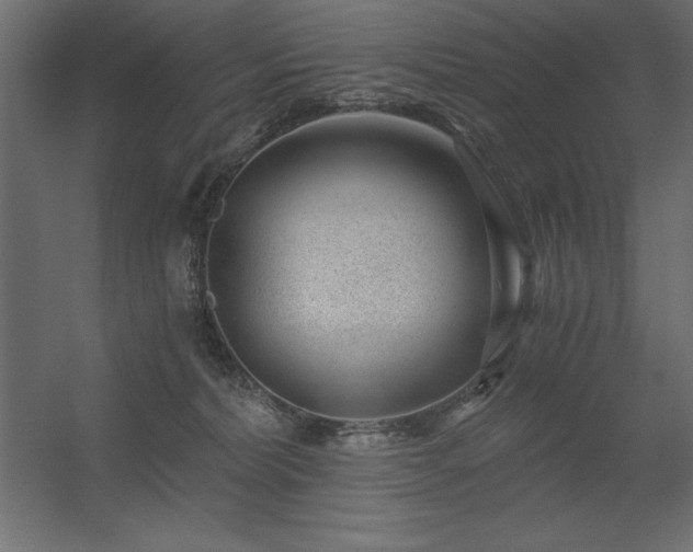 X0000056320228200509021611