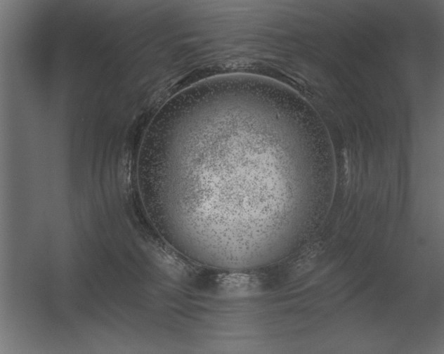 X0000056320230200509021611
