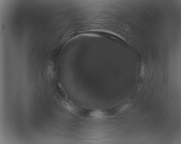 X0000056320231200509021611