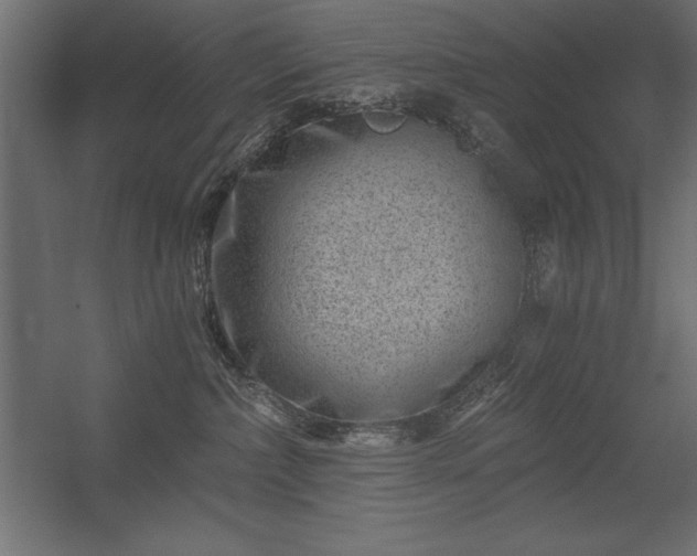X0000056320236200509021611