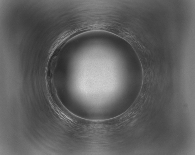X0000056320242200509021610