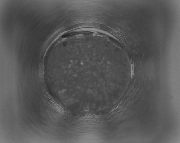 X0000056320243200509021610