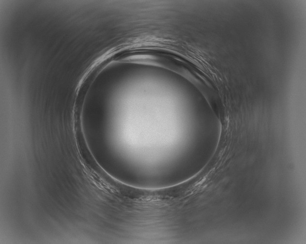 X0000056320244200509021610