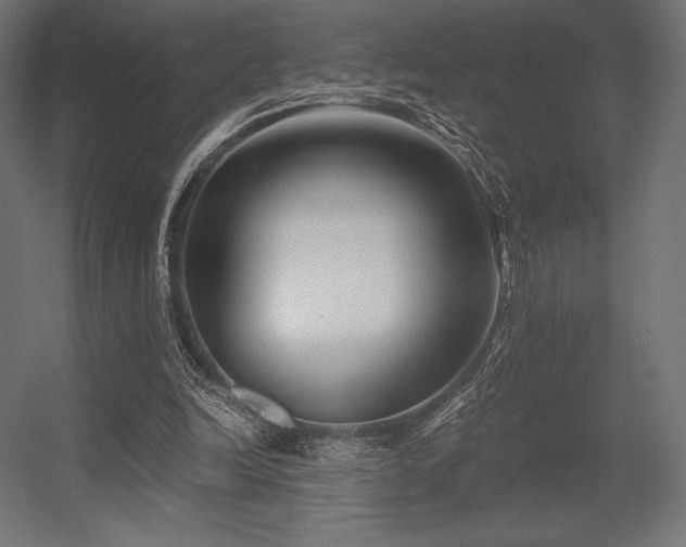 X0000056320246200509021610