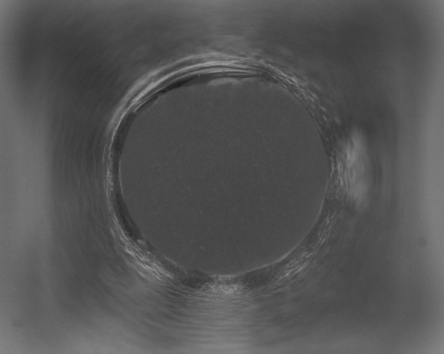 X0000056320247200509021610