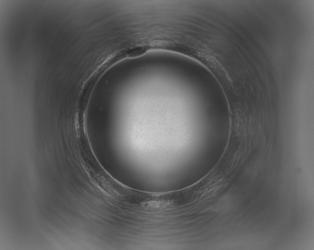 X0000056320251200509021610
