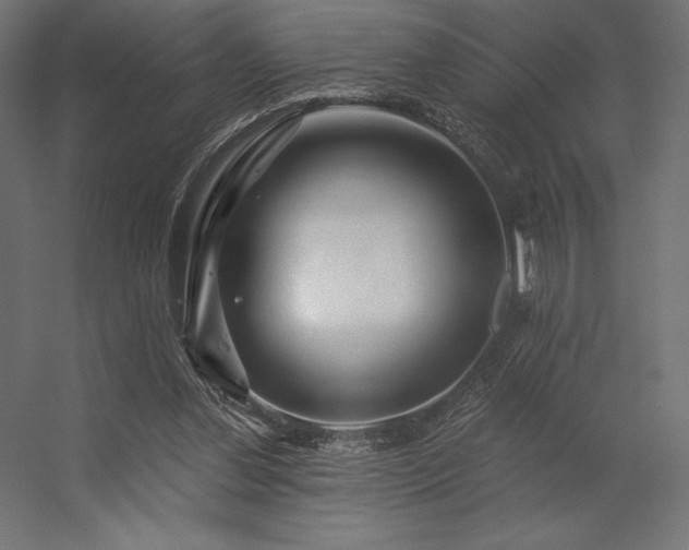 X0000056320252200509021610