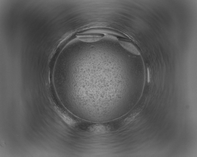 X0000056320253200509021610