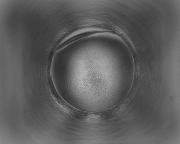 X0000056320257200509021611