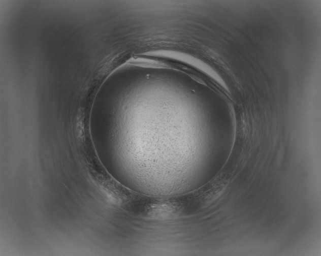 X0000056320259200509021611