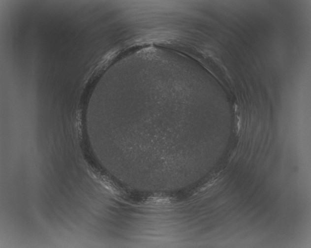X0000056320260200509021611