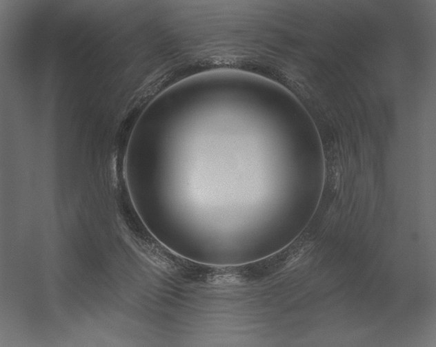 X0000056320262200509021611