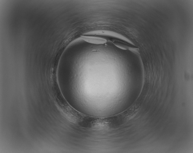 X0000056320263200509021611