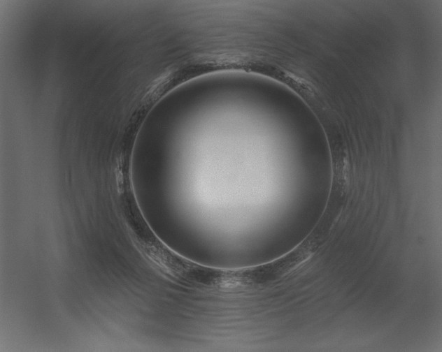 X0000056320264200509021611