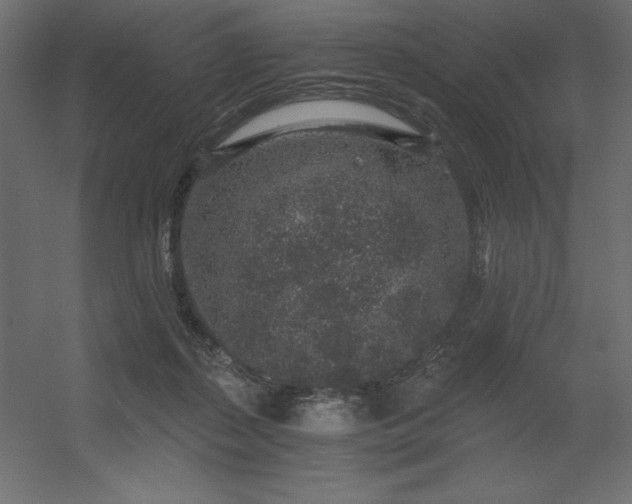 X0000056320267200509021611