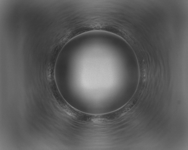 X0000056320268200509021611