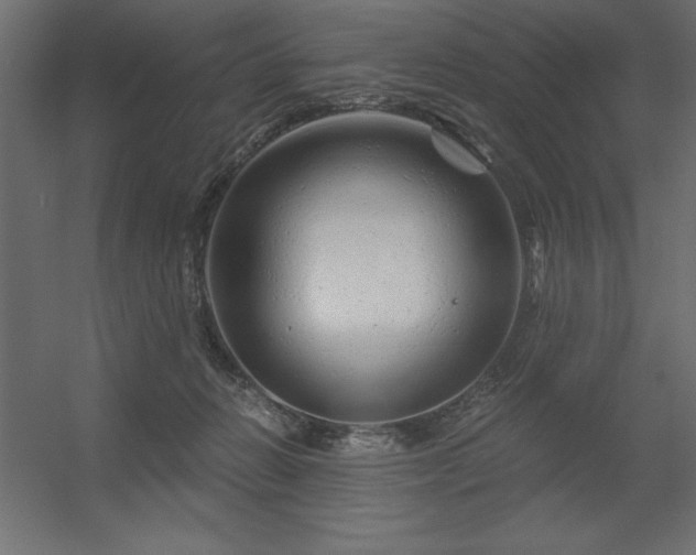 X0000056320270200509021611