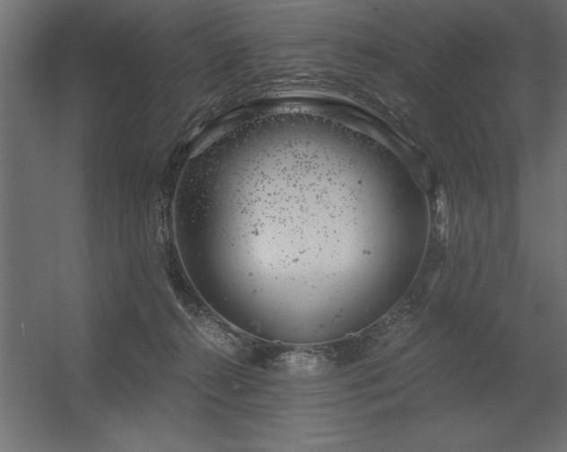 X0000056320272200509021611